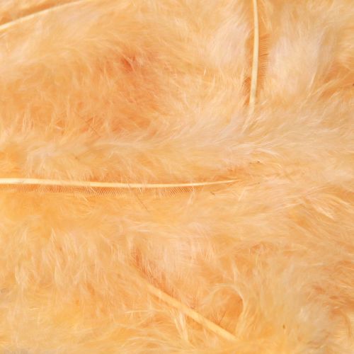 Artikel Veren oranje voor paasknutselwerkjes in de lente 5-10 cm 20 g