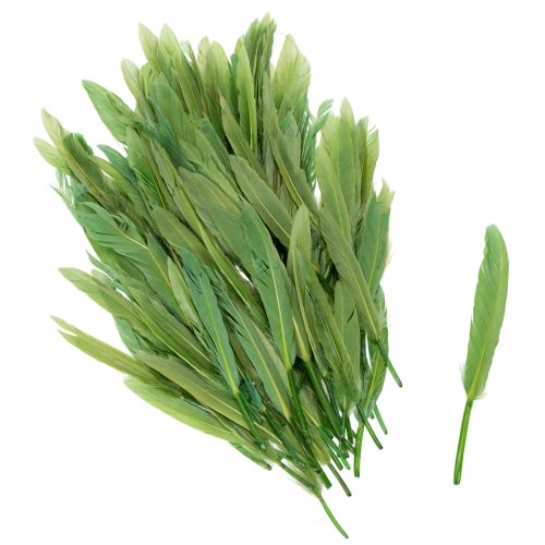 Decoratieve veren voor een stijlvolle sfeer en indrukwekkende decoraties (10 cm).