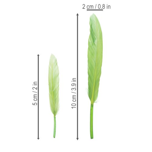 Artikel Decoratieve veren voor een stijlvolle sfeer en indrukwekkende decoraties (10 cm).