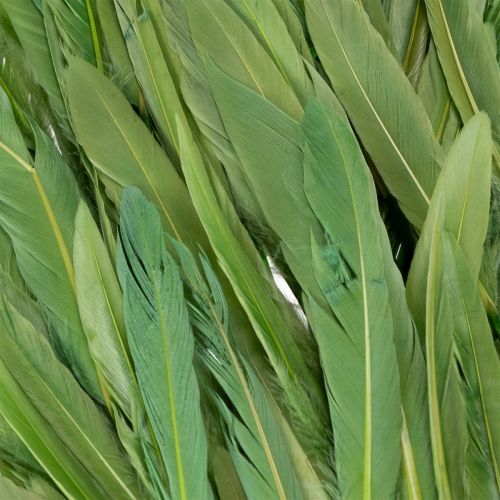 Artikel Decoratieve veren voor een stijlvolle sfeer en indrukwekkende decoraties (10 cm).