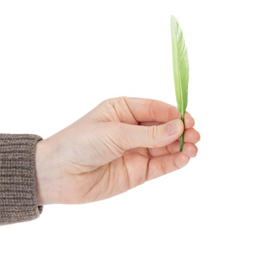 Artikel Decoratieve veren voor een stijlvolle sfeer en indrukwekkende decoraties (10 cm).