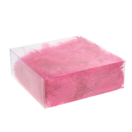 Floristik24 Veren kort 30 g fuchsia