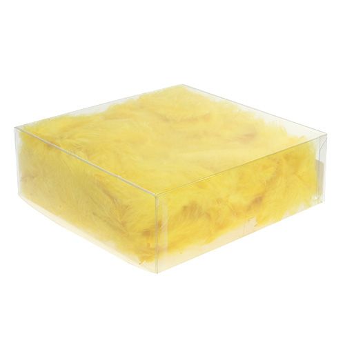 Floristik24 Veren kort 30 g goudgeel