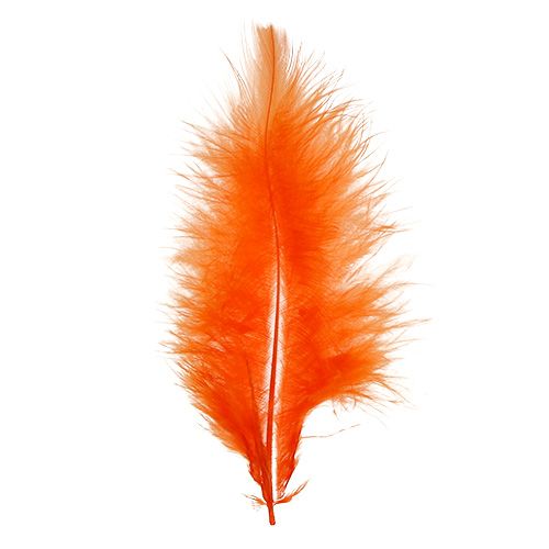 Artikel Veren kort 30g Oranje