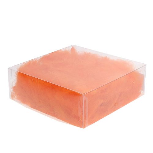 Artikel Veren kort 30g Oranje