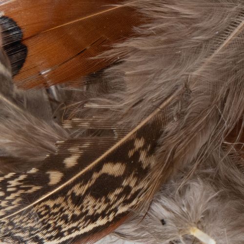 Artikel Veertjes voor veelzijdige knutselideeën, creatieve ontwerp- en decoratie-ideeën, 5 cm, 3 g