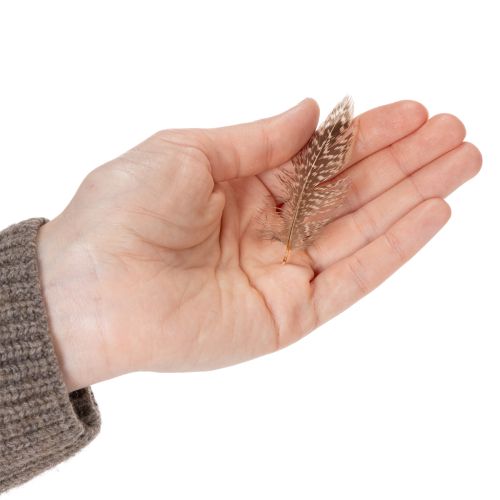 Artikel Veertjes voor veelzijdige knutselideeën, creatieve ontwerp- en decoratie-ideeën, 5 cm, 3 g