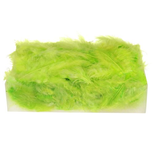 Artikel Veren om te knutselen in lichtgroene verendecoratie 5-10 cm 20 g
