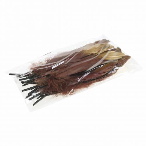 Floristik24 Veren bordeaux, goud 18-23cm 24 st