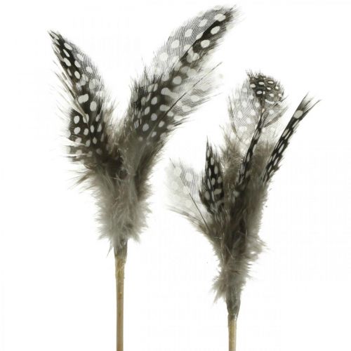 Floristik24 Decoratieve veren gestippeld op de stok Echte parelhoenveren 4-8 cm 24 st