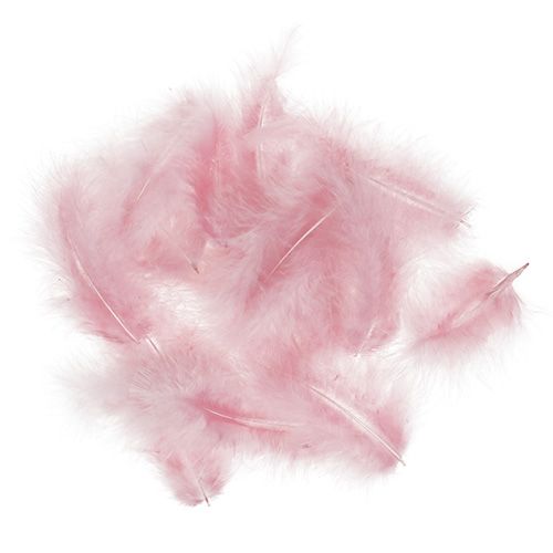 Floristik24 Korte veren 30 g roze