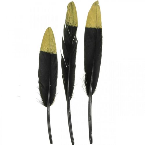 Artikel Decoratieve veren zwart, goud echte veren voor knutselen 12-14cm 72st