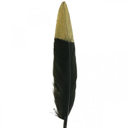 Artikel Decoratieve veren zwart, goud echte veren voor knutselen 12-14cm 72st
