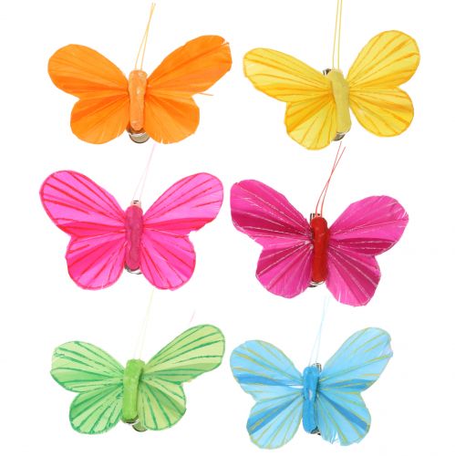 Floristik24 Veer vlinder op clip kleurrijk 6cm 12st