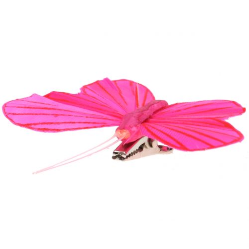 Floristik24 Veer vlinder op clip kleurrijk 6cm 12st