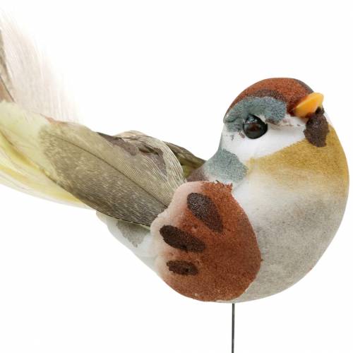 Floristik24 Vogel op draad 5,5 cm gekleurd 9st