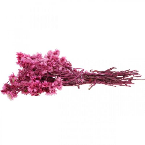 Artikel Mini Strobloem Roze Gedroogde Bloem Rotsbloem H20cm 15g