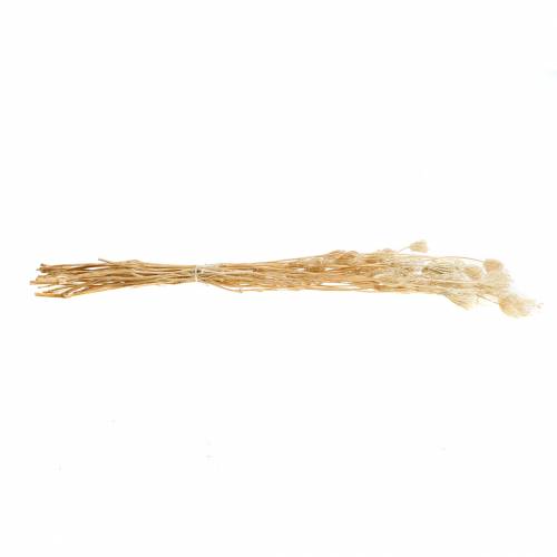 Artikel Gebleekte gedroogde bloemen venkel 100g