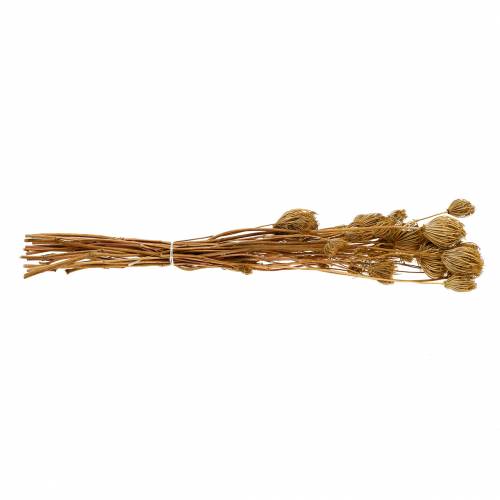 Artikel Droogbloemen venkel natuur 100g