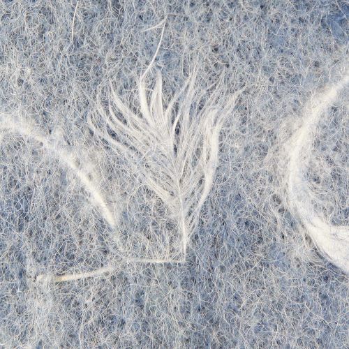 Artikel Vilten lint wollint decoratiestof blauwe veren wolvilt 15cm 5m