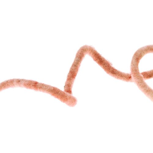 Floristik24 Vilten koord wollen koord met draad Rauris draad roze 20m
