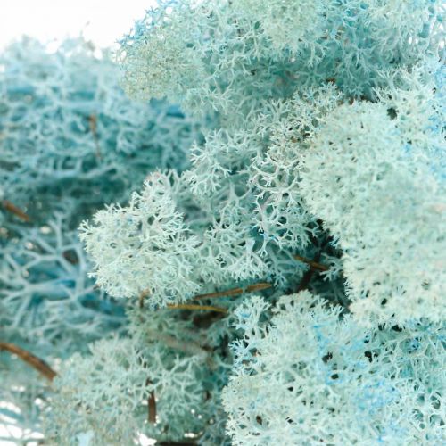 Artikel Decoratie mos lichtblauw aquamarijn rendiermos handwerk mos 400g