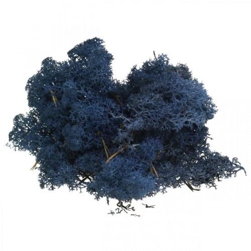 Floristik24 Deco mos blauw droog mos voor knutselen gekleurd 500g