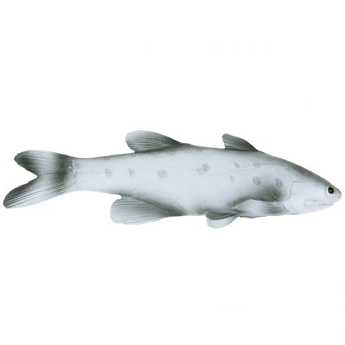 Decoratieve vis L24cm Decoratieve vis L24cm