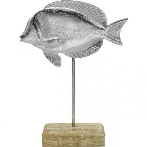 Floristik24 Vis om te plaatsen, maritieme decoratie, decoratieve vis van metaal zilver, natuurlijke kleuren H23cm