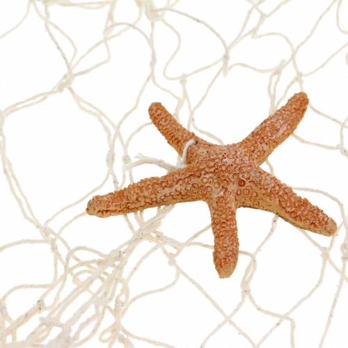 Floristik24 Visnet met zeedecoratie naturel polyresin 150×200cm als wanddecoratie