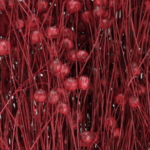 Floristik24 Vlas Bordeaux Rood Gedroogde Decoratie Gedroogde Bloemen L55cm 80g