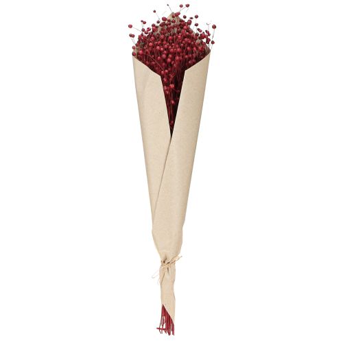 Artikel Vlas Bordeaux Rood Gedroogde Decoratie Gedroogde Bloemen L55cm 80g