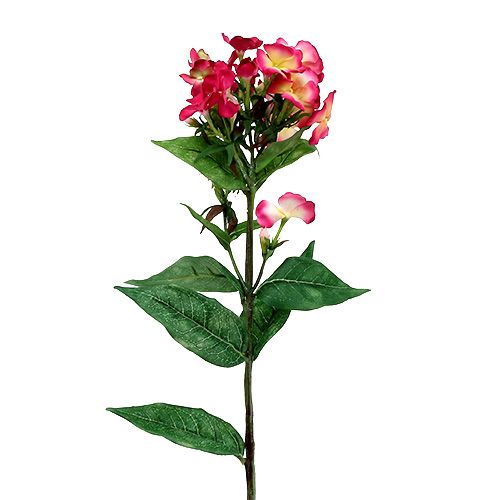 Roze vlambloem 72cm