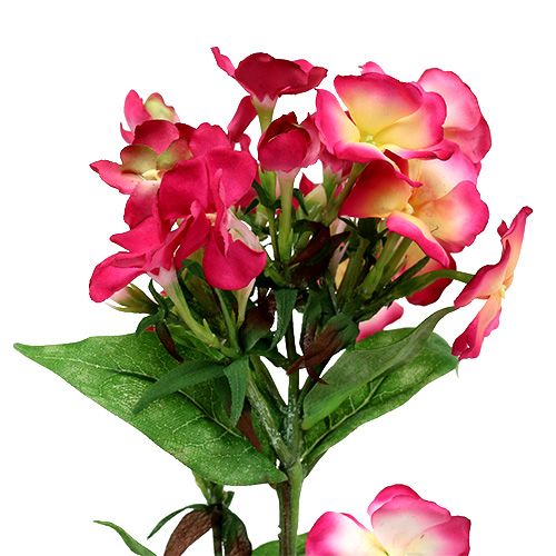 Floristik24 Roze vlambloem 72cm