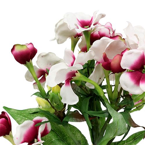 Floristik24 Vlam bloem wit 72cm