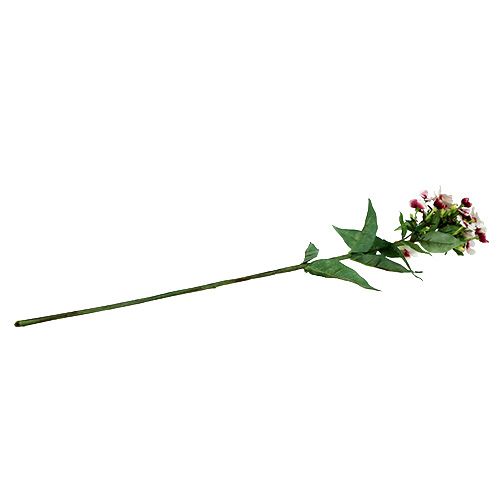 Floristik24 Vlam bloem wit 72cm