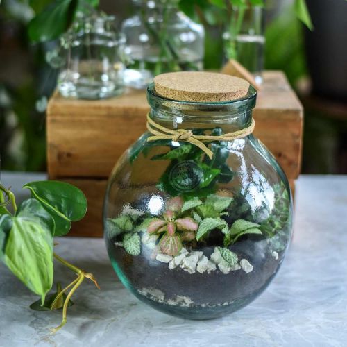 Floristik24 Fles tuinset glas met kurken deksel en gereedschap Ø21cm H25cm