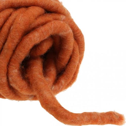 Floristik24 Viltkoord, wollen koord, viltkoord, schapenwol, jute, oranje, L30m