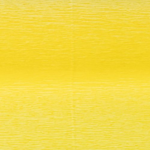 Artikel Bloemist Crêpepapier Geel 50x250cm