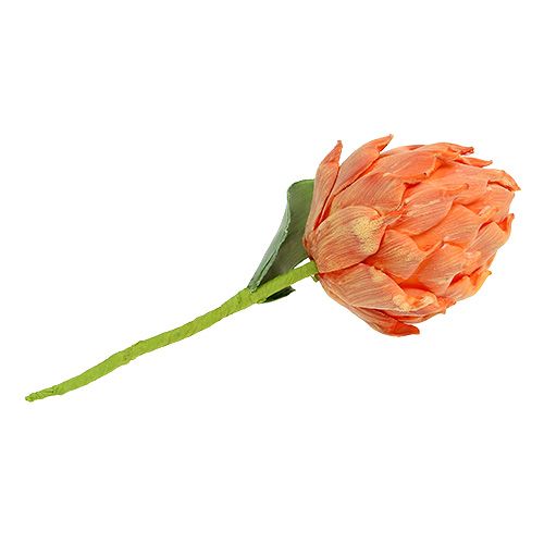 Floristik24 Schuim artisjok oranje 14cm L28cm 1p