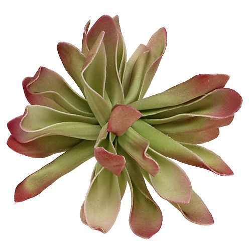 Floristik24 Schuimbloesem Ø12cm groen / rood 6st