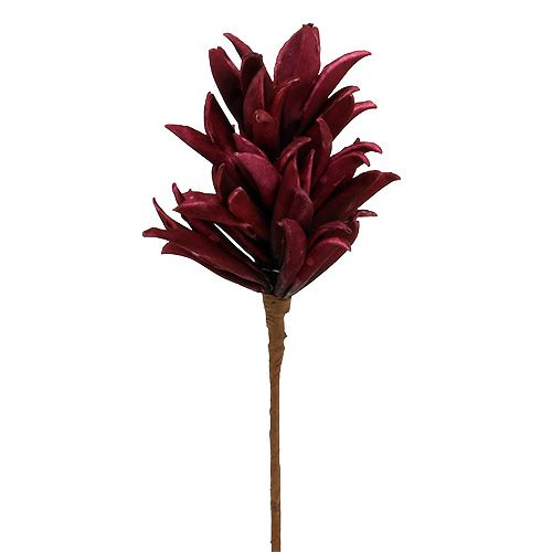 Floristik24 Foam bloem Bordeaux 14cm L66cm