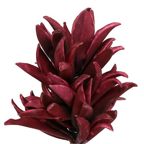 Artikel Foam bloem Bordeaux 14cm L66cm