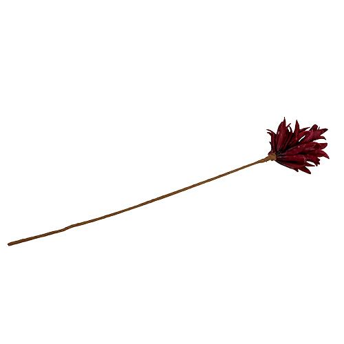 Floristik24 Foam bloem Bordeaux 14cm L66cm