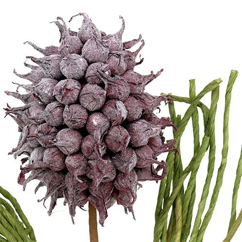 Floristik24 Schuimbloesem kunstbloemen paars L65cm
