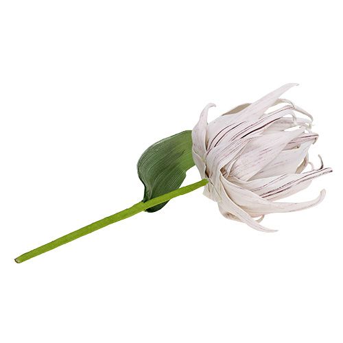 Floristik24 Schuimbloesem wit, paars 12cm L30cm 1p