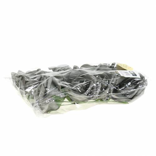 Floristik24 Foam rozet Ø10cm grijs 8 st