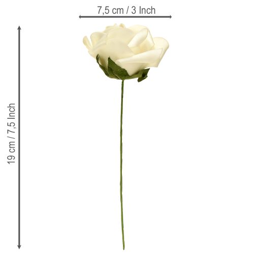 Artikel Foam rozen met steelbloemen foam crème Ø7,5cm 18 stuks