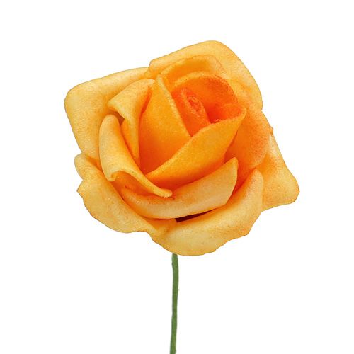 Floristik24 Foam Roos Ø 3,5cm Abrikoos 48 st