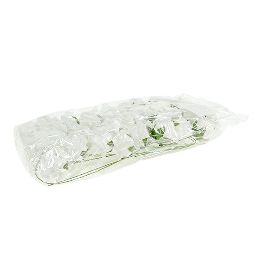 Artikel Foam Roos Ø4,5cm wit 36 st